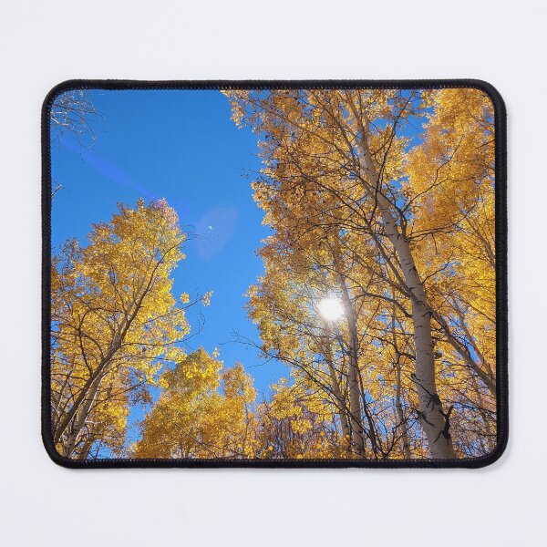 Item preview, Aspen trees in autumn designed and sold by EmbersDaylight.