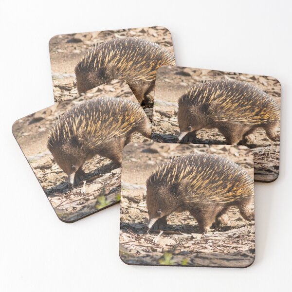 Item preview, Echidna designed and sold by David  Hibberd.