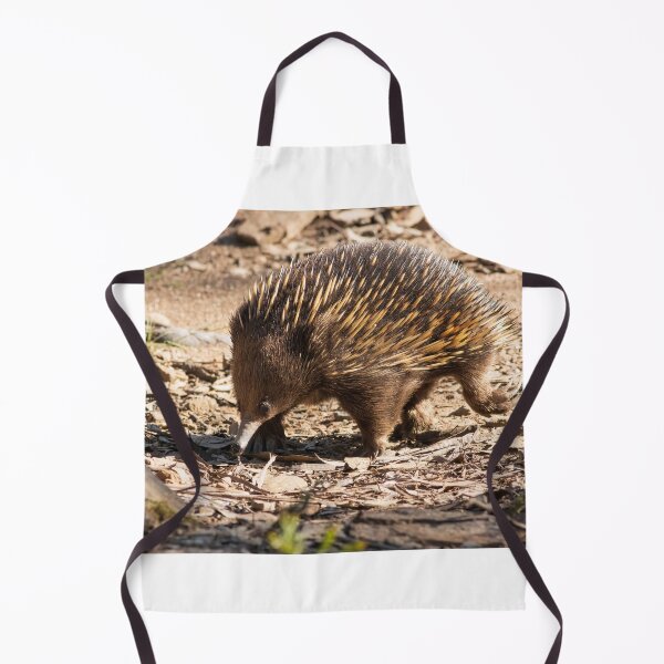 Item preview, Echidna designed and sold by David Hibberd.