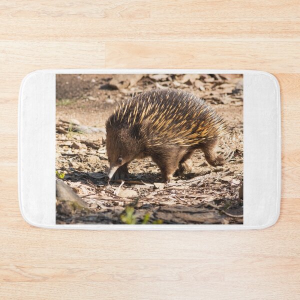 Item preview, Echidna designed and sold by David  Hibberd.