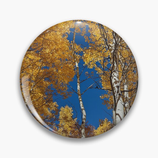 Item preview, Aspen trees in autumn designed and sold by EmbersDaylight.