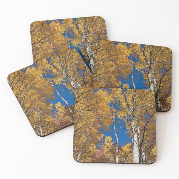 Item preview, Aspen trees in autumn designed and sold by EmbersDaylight.