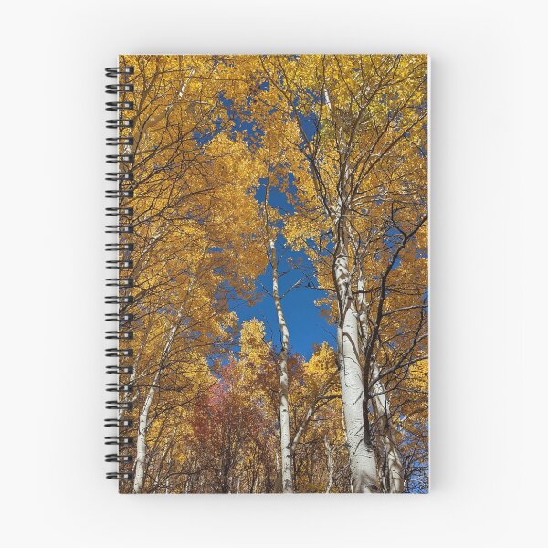 Item preview, Aspen trees in autumn designed and sold by EmbersDaylight.