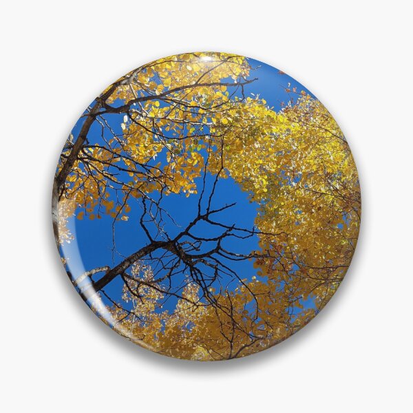 Item preview, Aspen trees in autumn designed and sold by EmbersDaylight.