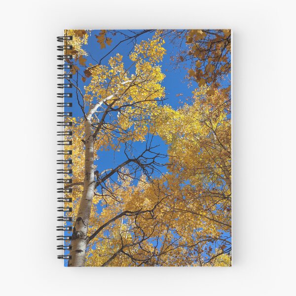 Item preview, Aspen trees in autumn designed and sold by EmbersDaylight.