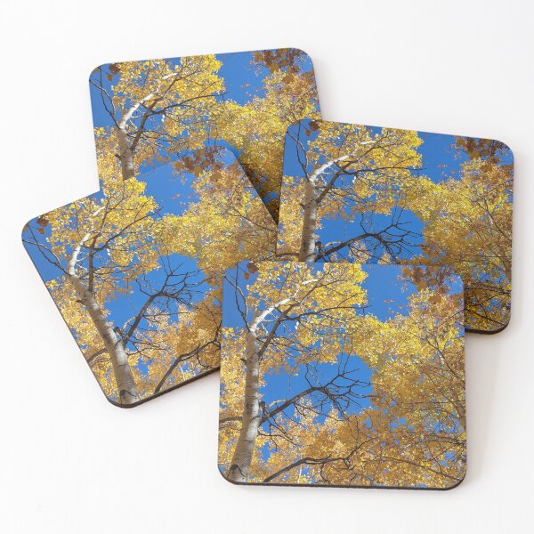 Item preview, Aspen trees in autumn designed and sold by EmbersDaylight.