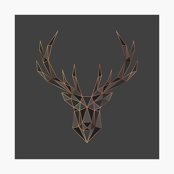 Stagger Photographic Print