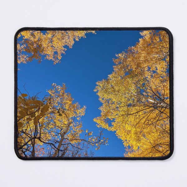 Item preview, Aspen trees in autumn designed and sold by EmbersDaylight.