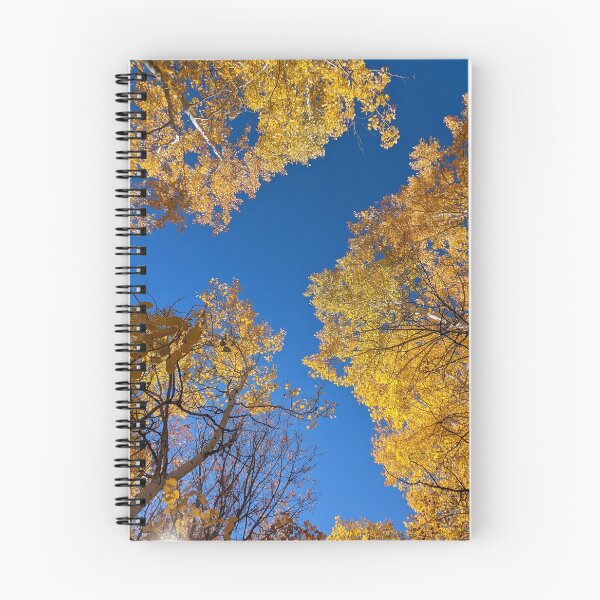 Item preview, Aspen trees in autumn designed and sold by EmbersDaylight.