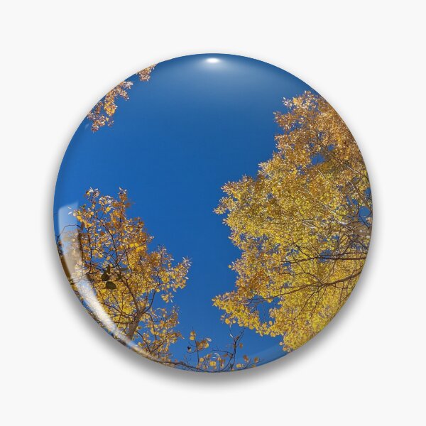 Item preview, Aspen trees in autumn designed and sold by EmbersDaylight.
