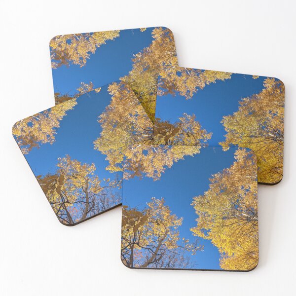 Item preview, Aspen trees in autumn designed and sold by EmbersDaylight.
