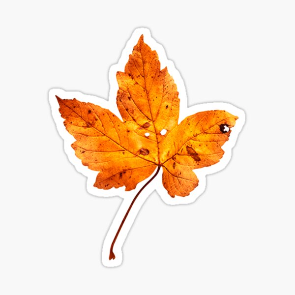 Fall Heart Sticker  Cute Autumn Sticker for Laptops and Water