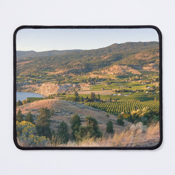 Item preview, Summer Vineyards in the Okanagan Valley designed and sold by Amy Mitchell.