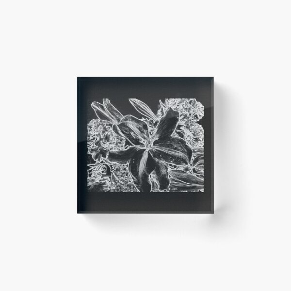 Item preview, Black and  White Flower. designed and sold by Forfarlass.