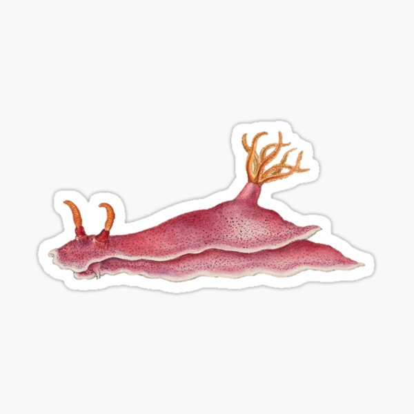 Item preview, Nudibranch designed and sold by BelleZeare.