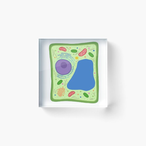 Item preview, Plant Cell designed and sold by emm416.