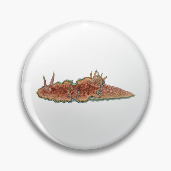 Item preview, Nudibranch, Chromodoris spp.  designed and sold by BelleZeare.