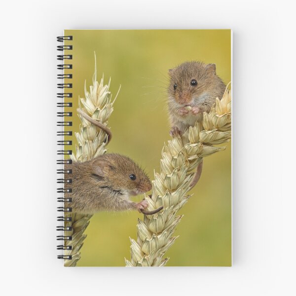 Item preview, harvest mice on corn designed and sold by Val Saxby.