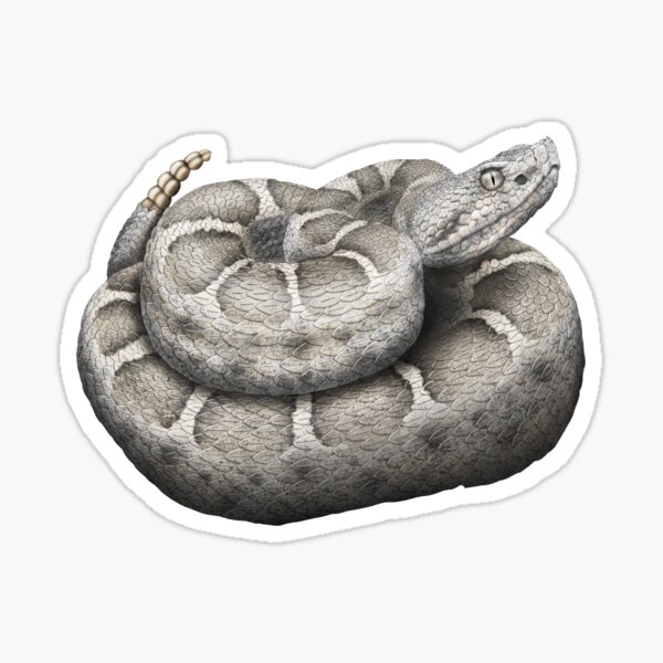 Item preview, New Mexico Ridge-nosed Rattlesnake designed and sold by CatchItCreation.