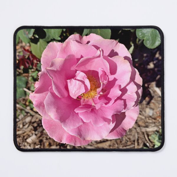 Item preview, Gardens on Spring Creek Study 20  designed and sold by Robert Meyers-Lussier.