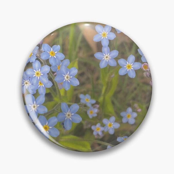 Item preview, Forget Me Not 2 designed and sold by Sprout & Spirit Photography.