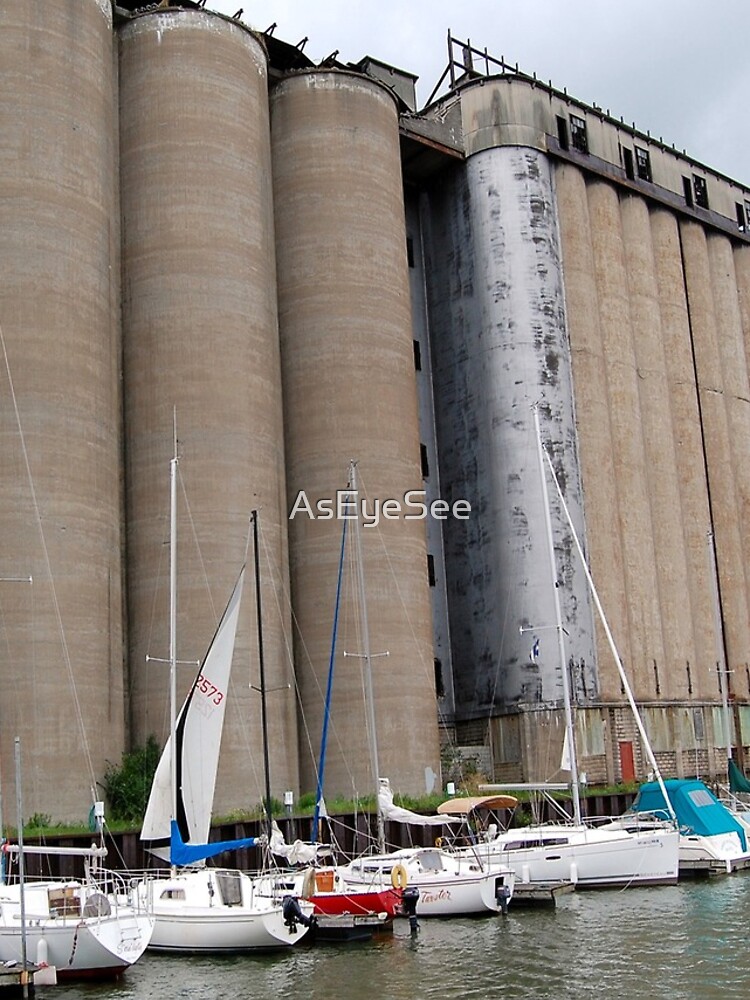 Buffalo Grain for Sail by AsEyeSee