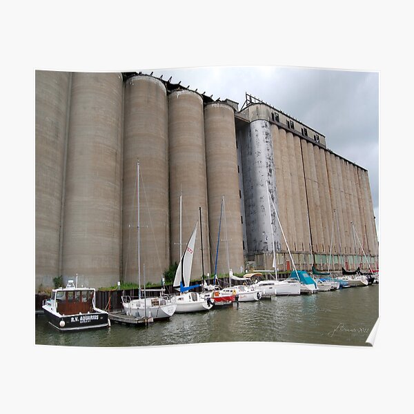 Buffalo Grain for Sail Poster