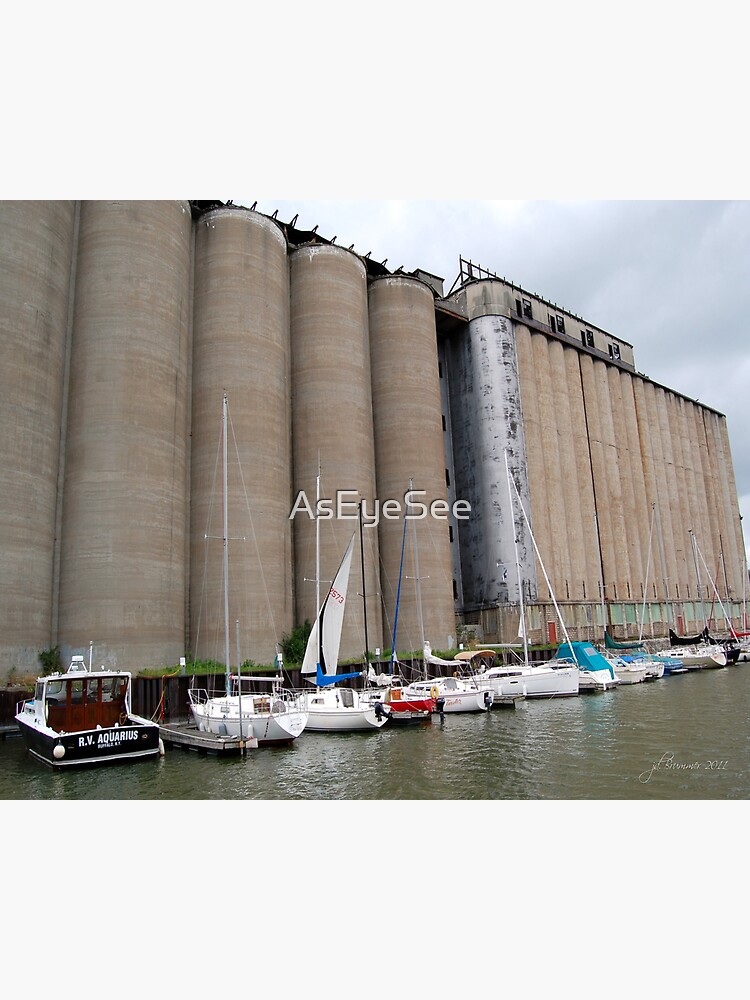 Buffalo Grain for Sail by AsEyeSee