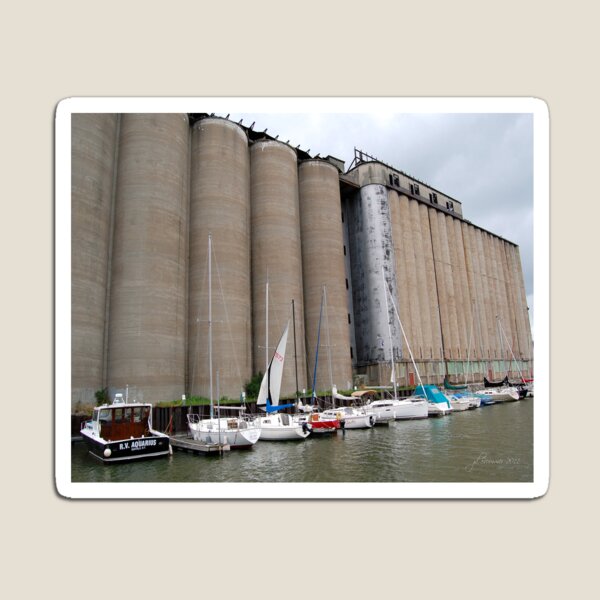 Buffalo Grain for Sail Magnet