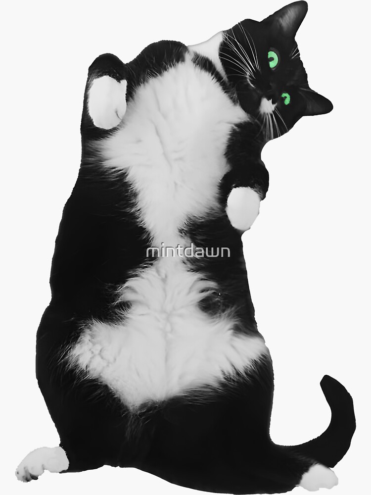 Black cat Peeker Sticker  Tuxedo cat Peeker Sticker – mussyhead