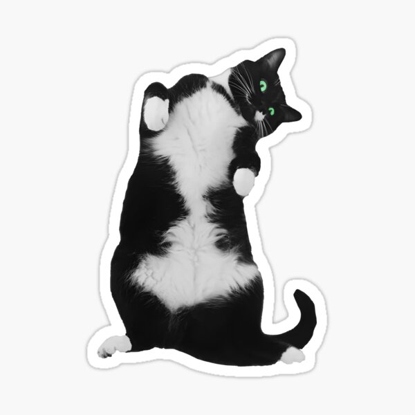 Tuxedo Cat and Friends Sticker