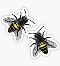 Save the Bee's Sticker