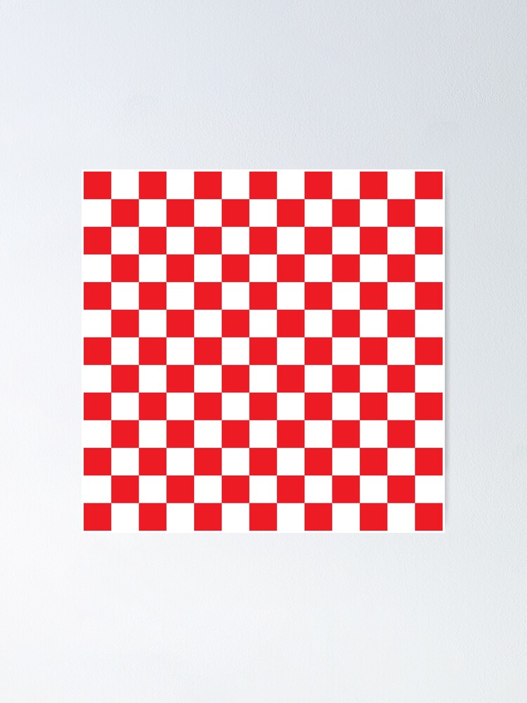 Red And White Check 5/' x 3/' Large Sleeved Flag