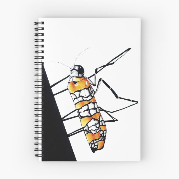 Item preview, Ailanthus Webworm Moth Drawing - Ink Design designed and sold by SfidaDesigns.