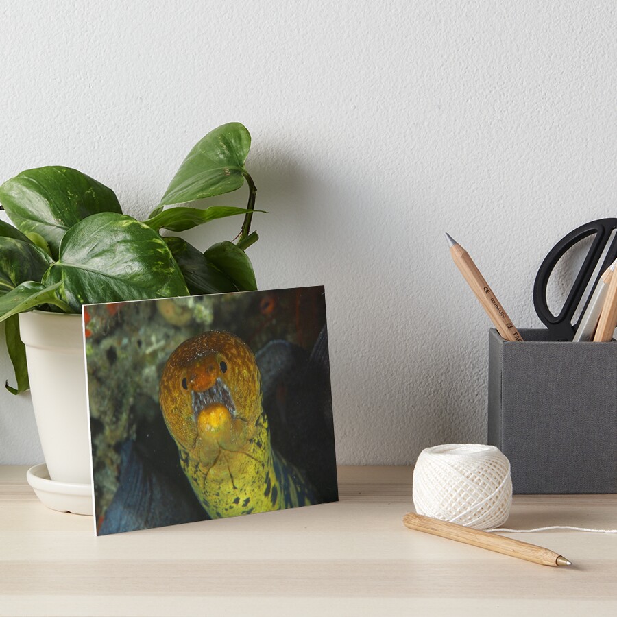 Item preview, Art Board Print designed and sold by blueworld13.