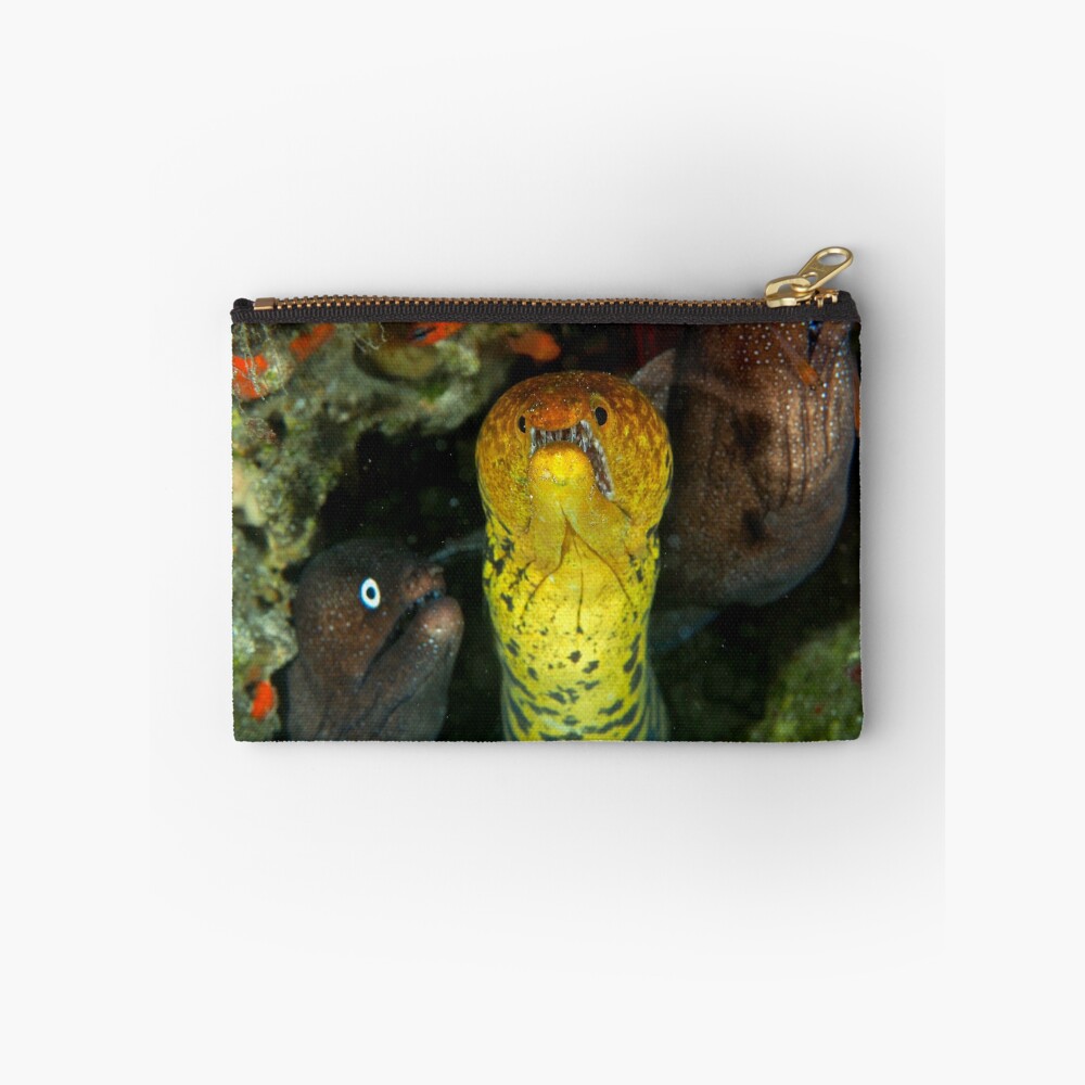 Item preview, Zipper Pouch designed and sold by blueworld13.