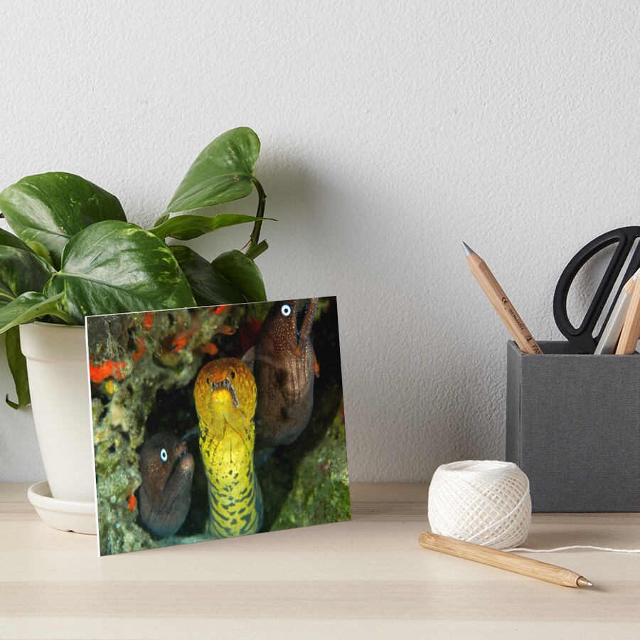 Item preview, Art Board Print designed and sold by blueworld13.