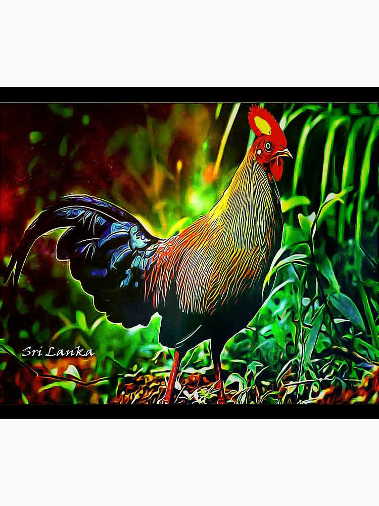 "Sri Lanka Cock (Rooster)" Sticker for Sale by TechanART Redbubble