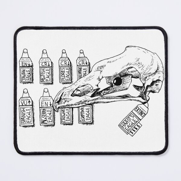Item preview, Haast's Eagle, Bird Skull, Extinct Bird designed and sold by Magnorthos.