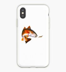 Redfish after shrimp iPhone Case