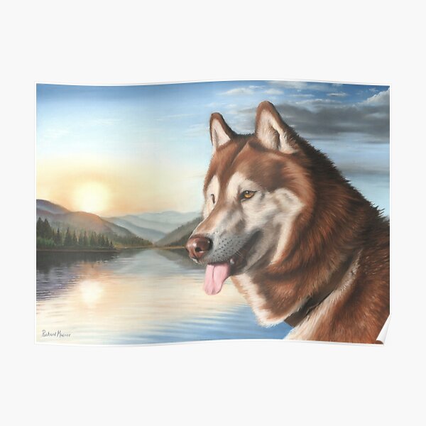 Husky Poster