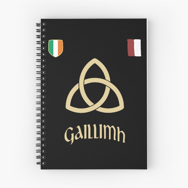 Item preview, Galway Ireland Flag of Gaillimh Souvenir designed and sold by MrEddie10.