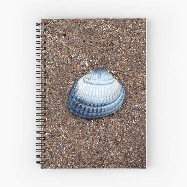 Item preview, shell designed and sold by KathleenDawson.