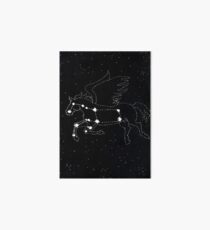 Constellation: Pegasus Art Board