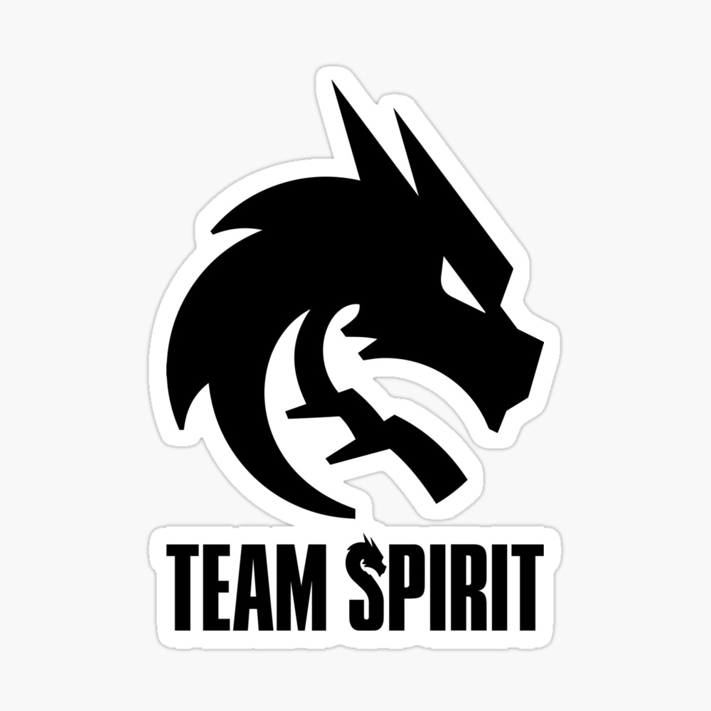 Team Spirit Stickers for Sale