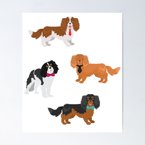 Item preview, Cavalier King Charles Spaniel designed and sold by TheAnimalZ00.