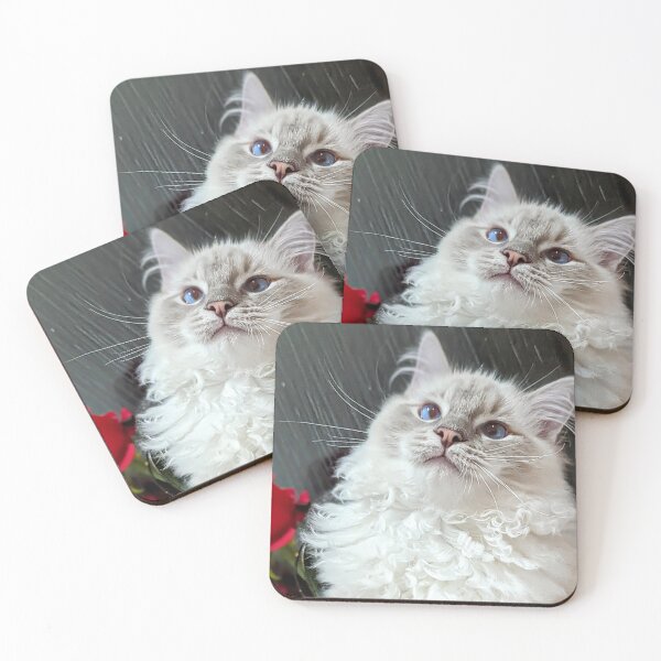 Item preview, Beautiful lynx ragdoll kitten designed and sold by Fluffycat2020.