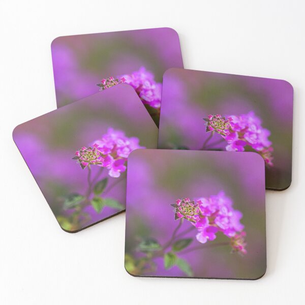 Item preview, Hot Pink Allysium Flowers  designed and sold by Joy Watson - Natural Light Photography .