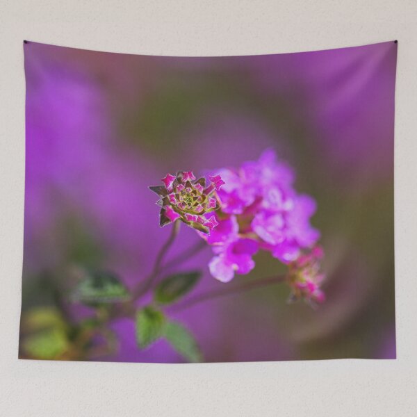 Item preview, Hot Pink Allysium Flowers  designed and sold by Joy Watson - Natural Light Photography .