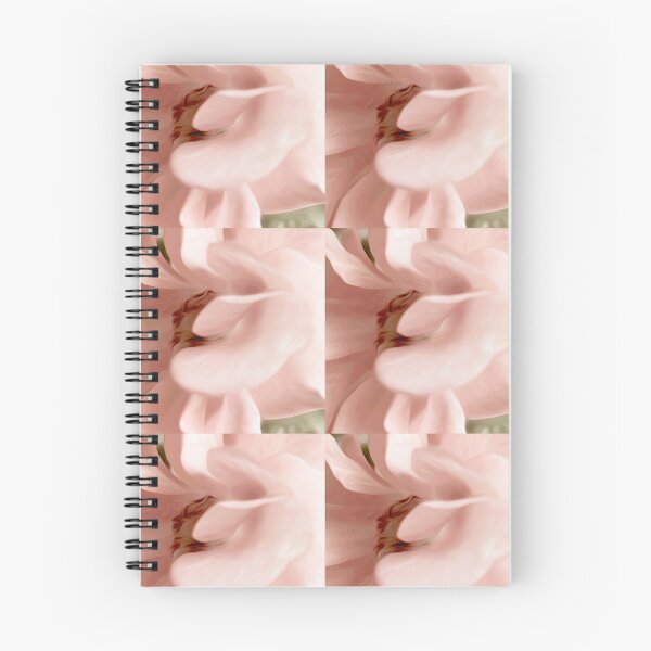 Item preview, Pink Rose designed and sold by fatenanwar.